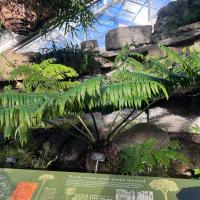 full picture of plant